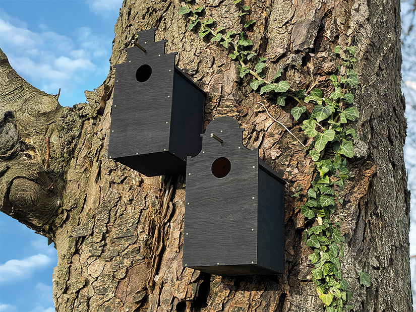 CaNAL BiRDHOUSE