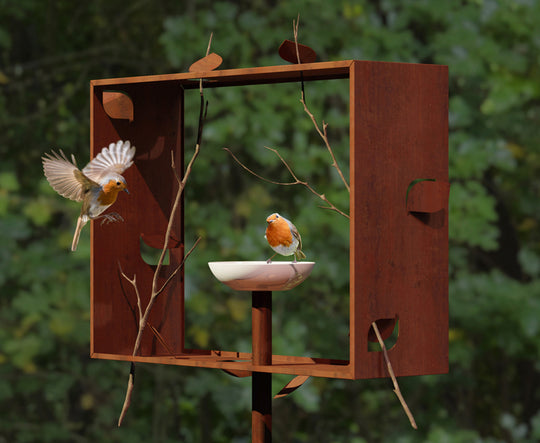 FRAMeD FEEDeR