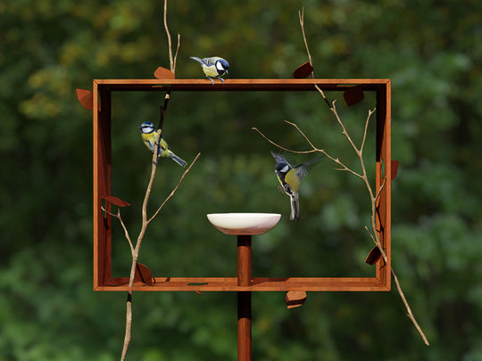 FRAMeD FEEDeR