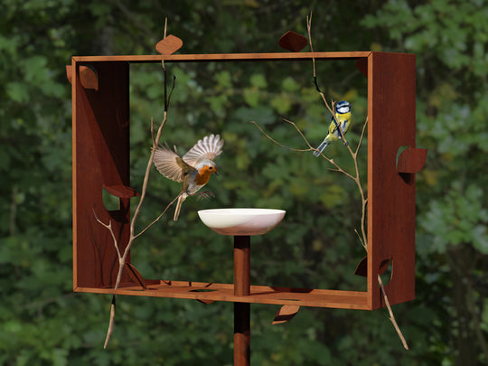 FRAMeD FEEDeR